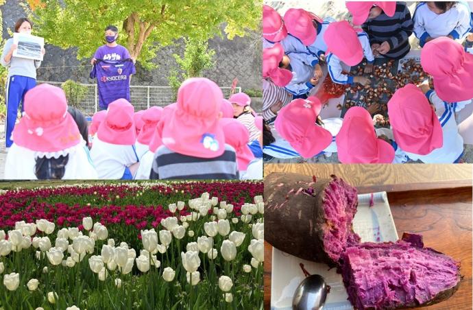 TeamDoITのメンバーの活動や亀岡市の景色が分かる画像