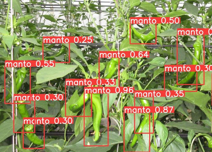 foodtech3