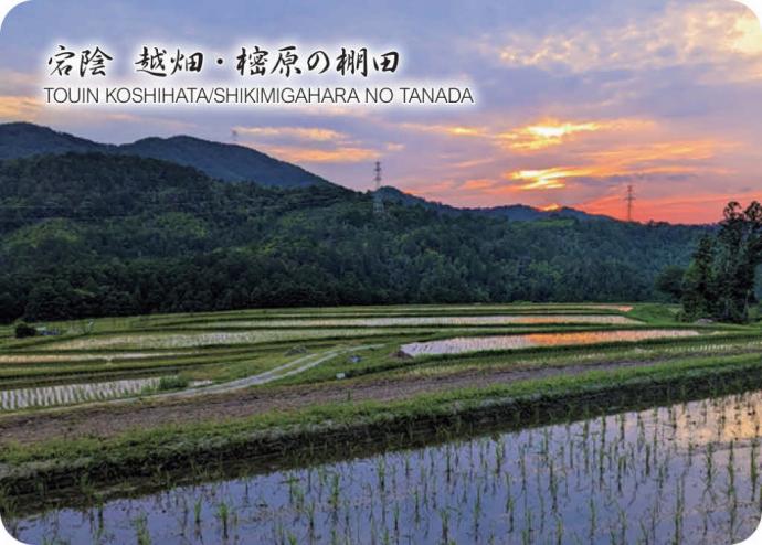 宕陰越畑・樒原の棚田カード1