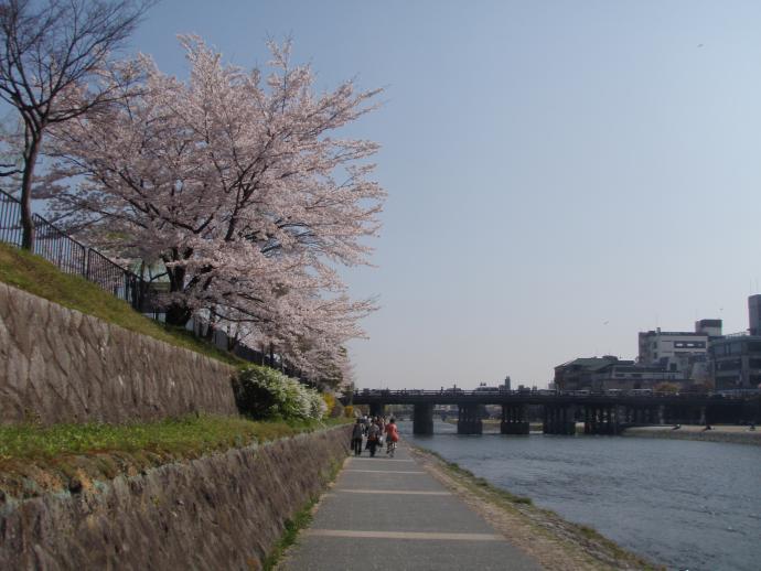 20120412hananokairou1