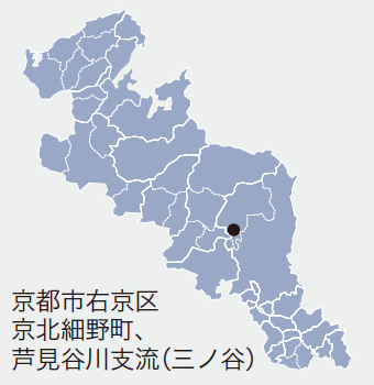 京都市右京区京北細野町、芦見谷川支流(三ノ谷)