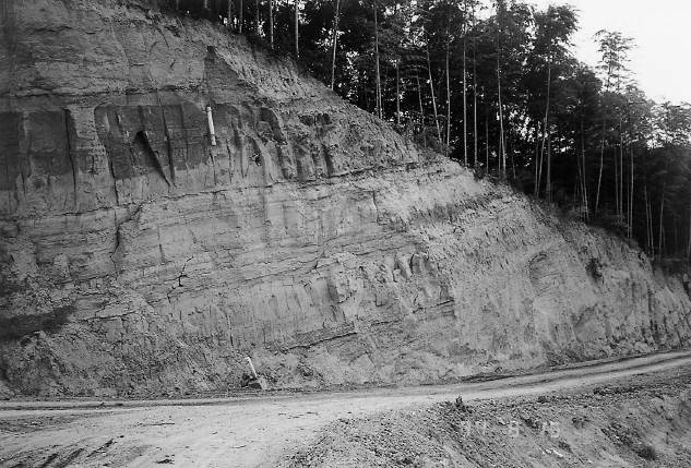 京都市伏見区深草鞍ヶ谷の大阪層群。砂・粘土細互層の上にMa 4がある。1974年11月14日 石田志朗撮影