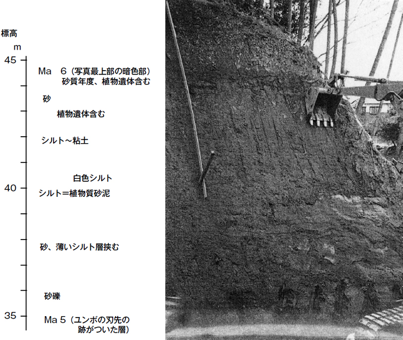 北西よりみる 2000年2月22日 石田志朗撮影