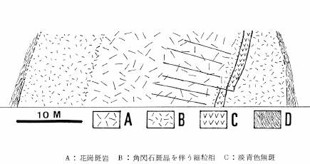 当時の京北町灰屋の酸性重複岩脈の露頭スケッチ(貴治1984による)