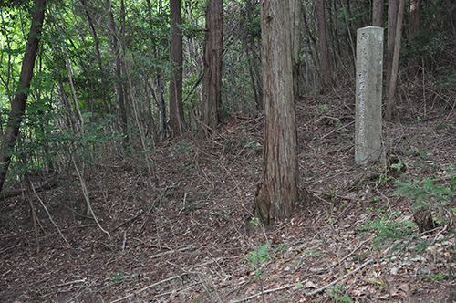 桜天満宮所有の桜石(山本睦徳)
