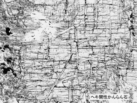 大江山のダナイト薄片写真(オープンニコル)。横巾は2mm