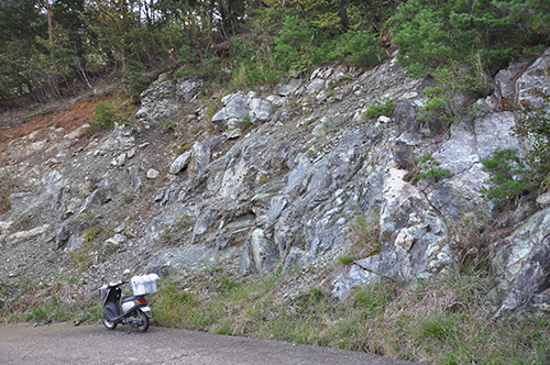 蛇紋岩の露頭(山本睦徳)