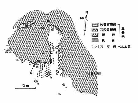 質志鍾乳洞付近の地質図。ペルム系石灰岩と三畳系の間が不整合(武蔵野ほか1979)