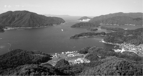 典型的なリアス式海岸地形を示す。舞鶴湾(五老岳より北を見る)
