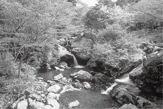 南丹市大河内 天引川の瑠璃渓