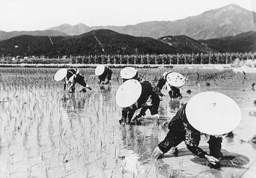 写真9
