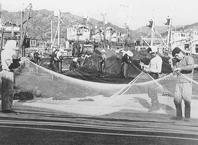 写真43