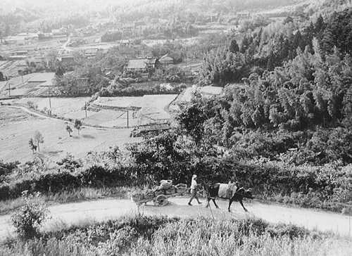 写真118