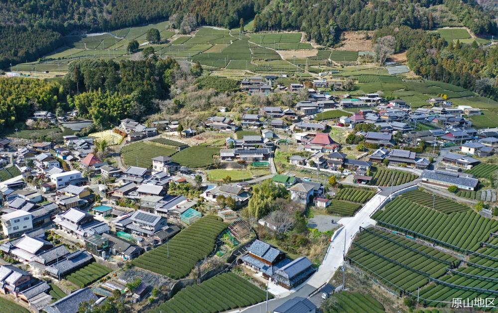 和束　原山