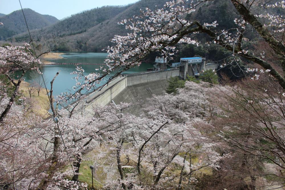 大野ダム