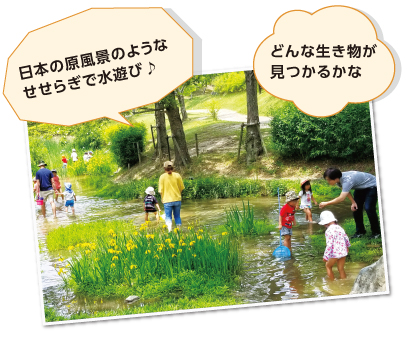 日本の原風景のようなせせらぎで水遊び♪ どんな生き物が見つかるかな