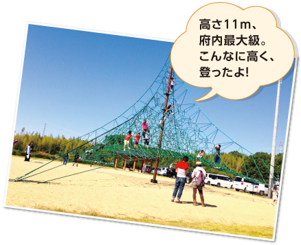 高さ11m、府内最大級。こんなに高く、登ったよ!