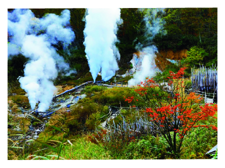 新野地温泉