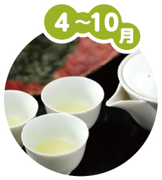 4~10月