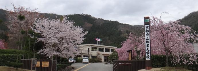 写真：京林大正門