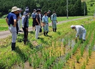 あぜ道相談2