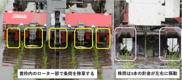 条間の除草