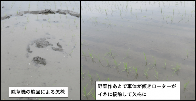 旋回による欠株