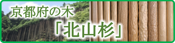 京都府の木「北山杉」