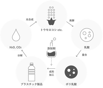 植物由来