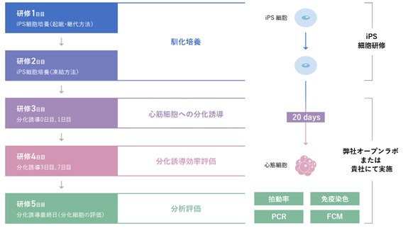 技術移管