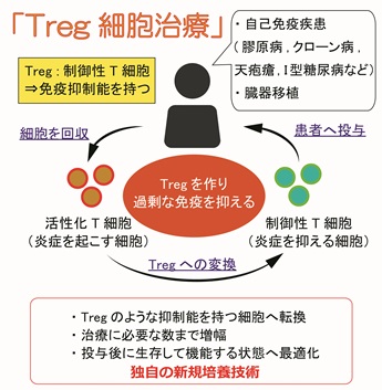 Tregへの変換