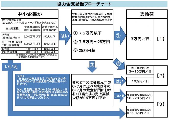 i12sikyugaku-flowchart