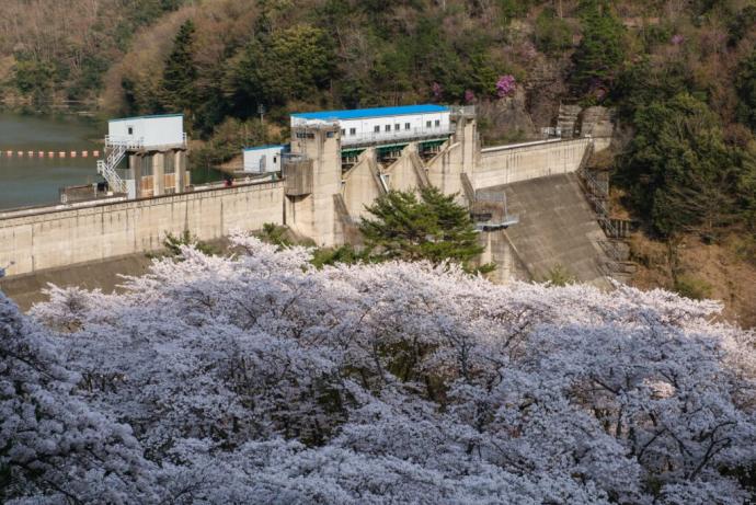 大野ダムの写真