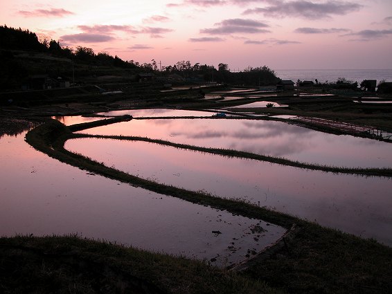 袖しの棚田