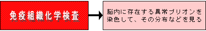 免疫組織化学検査：脳内に存在する異常プリオンを染色して、その分布などを見る