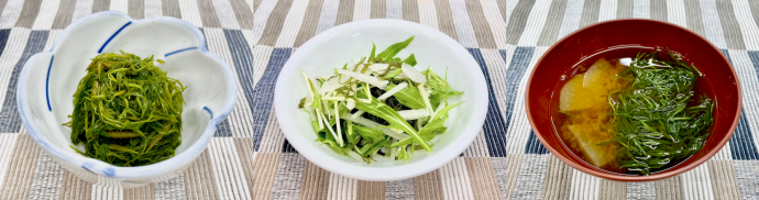 調理例