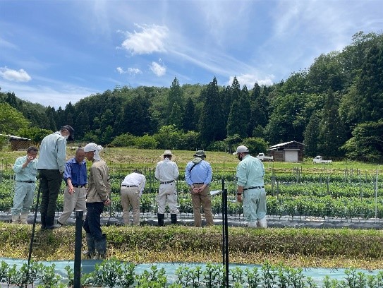 生育状況確認