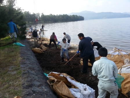 海岸清掃（府中）