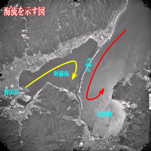 海流（かいりゅう）を示す図