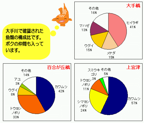 大手川で確認された魚類の構成比のグラフ